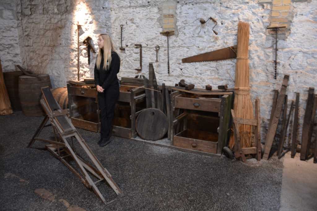 DSC_5870Mittel_.JPG